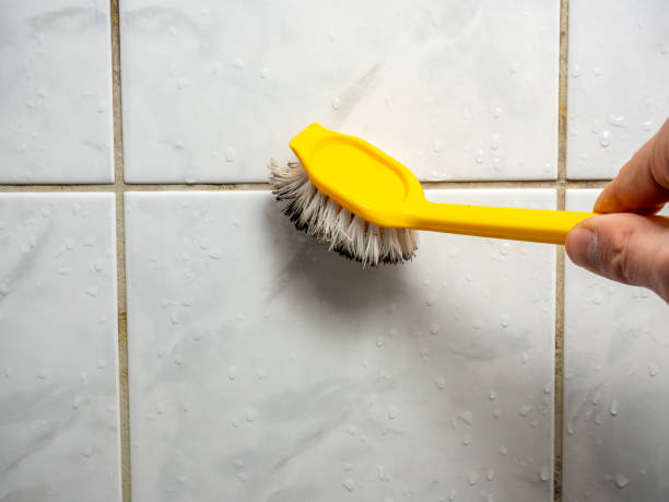 Best Kitchen Mold Remediation in Lake Shastina, CA