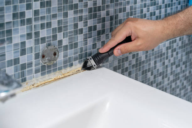 Best Health and Safety Mold Remediation in Lake Shastina, CA