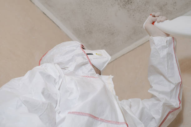 Best Post-Flood Mold Remediation in Lake Shastina, CA