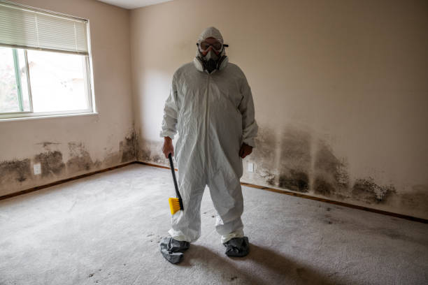 Best Industrial Mold Remediation in Lake Shastina, CA